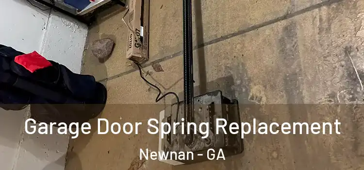  Garage Door Spring Replacement Newnan - GA