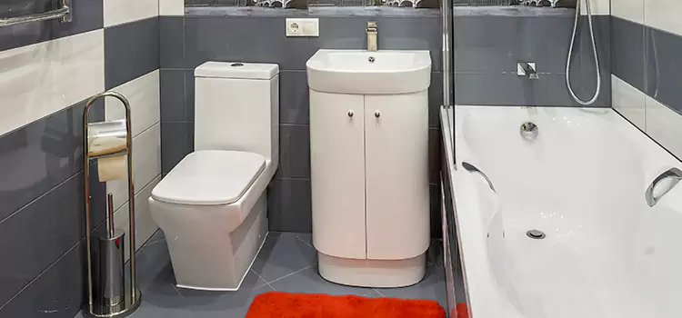 Hansgrohe Shaving Mirror Newnan